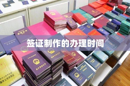 南木林签证制作的办理时间