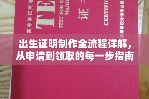 南木林出生证明制作全流程详解，从申请到领取的每一步指南