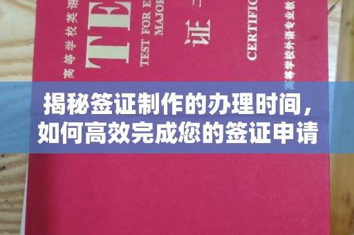南木林揭秘签证制作的办理时间，如何高效完成您的签证申请