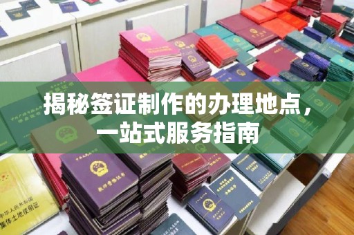 南木林揭秘签证制作的办理地点，一站式服务指南