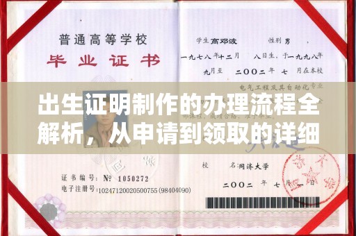 南木林出生证明制作的办理流程全解析，从申请到领取的详细指南