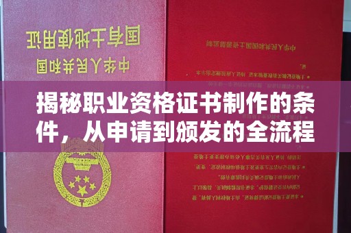 南木林揭秘职业资格证书制作的条件，从申请到颁发的全流程解析