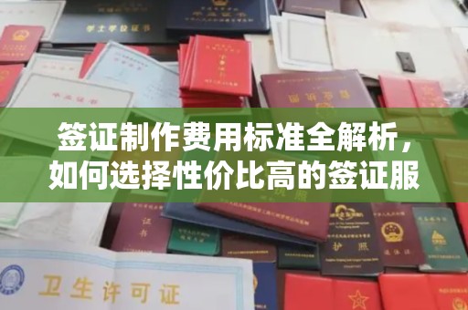 南木林签证制作费用标准全解析，如何选择性价比高的签证服务？