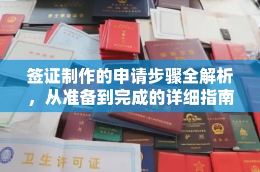 南木林签证制作的申请步骤全解析，从准备到完成的详细指南