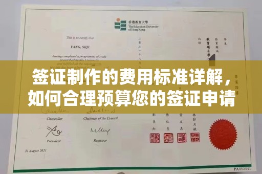 南木林签证制作的费用标准详解，如何合理预算您的签证申请成本