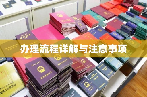 南木林办理流程详解与注意事项